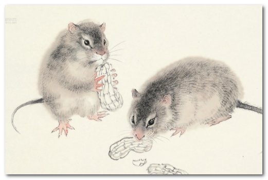 五福生肖是哪几个生肖