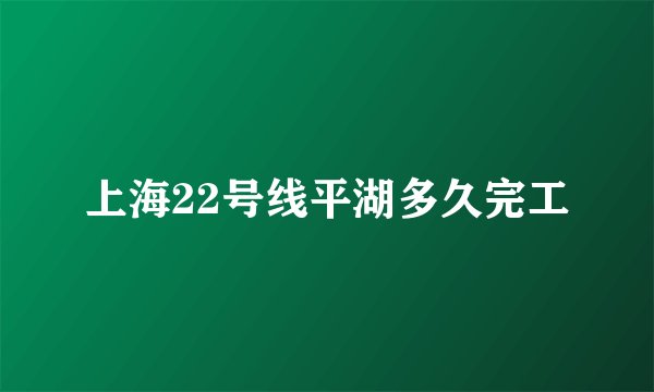 上海22号线平湖多久完工