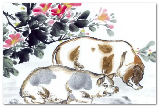 五福生肖是哪几个生肖