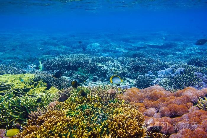 怎么举例子？举什么样的例子？