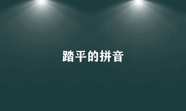 踏平的拼音