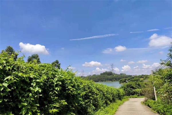 山行唐杜牧古诗解析