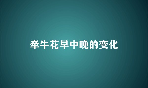 牵牛花早中晚的变化