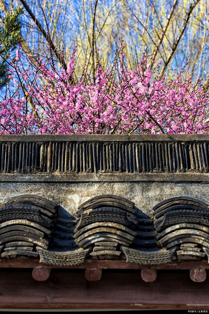 红杏出墙来出自哪里？