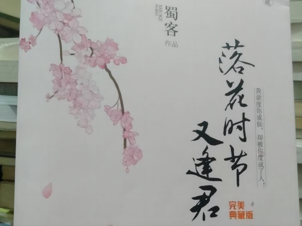 落花时节又逢君在哪个平台播出