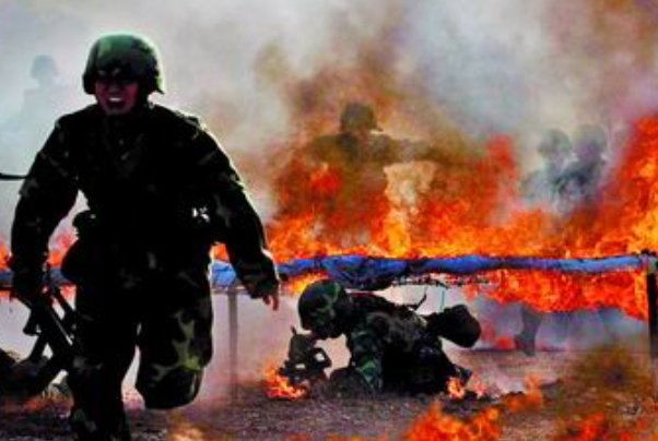 一般用蘅芜象征什么