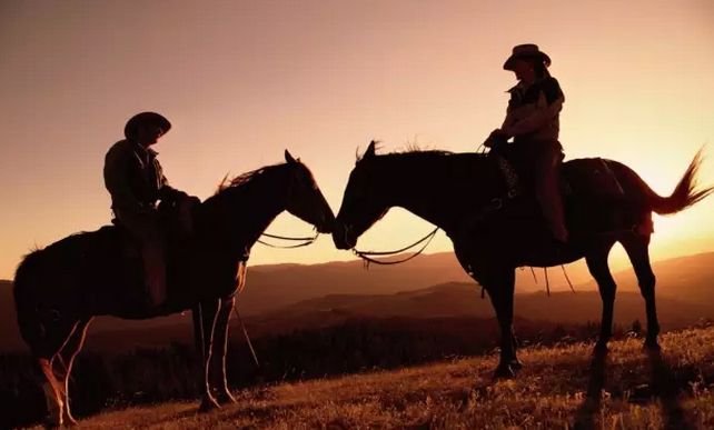 待到来年春暖花开时。下一句是什么啊