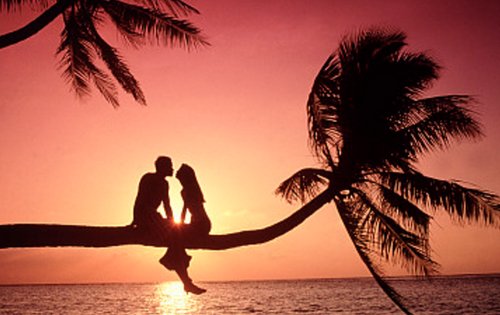 六九爱情里什么意思