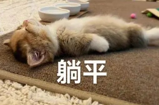 摆烂和躺平的区别