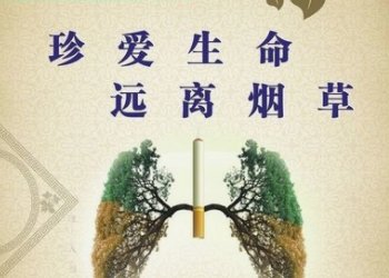 芙蓉王香烟的官网是多少