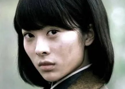 铁血武工队传奇演员表介绍