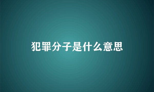 犯罪分子是什么意思
