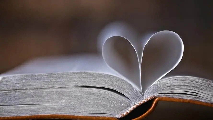 tloml是什么意思