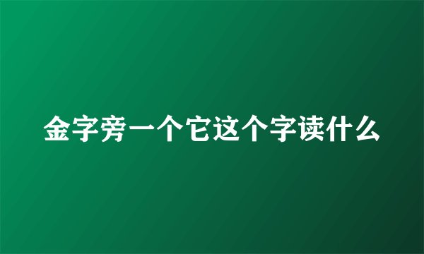 金字旁一个它这个字读什么