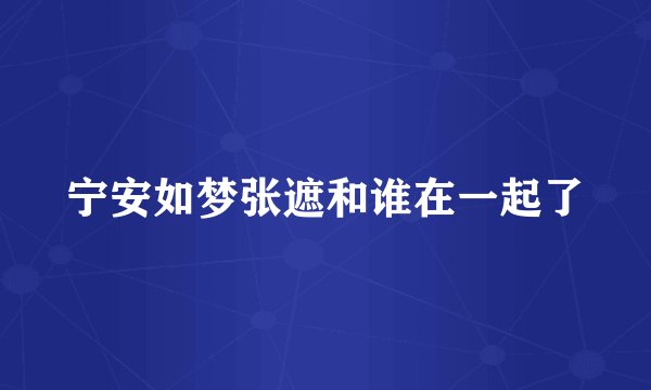 宁安如梦张遮和谁在一起了