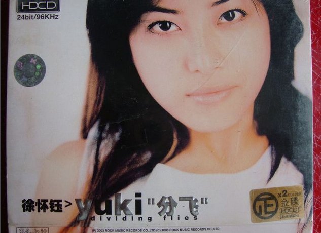 ”雨纷飞，飞在天空你是我的眼泪”是那首歌的歌词