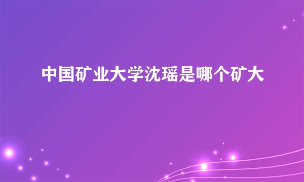 中国矿业大学沈瑶是哪个矿大