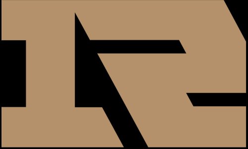 rng夺冠是哪一年