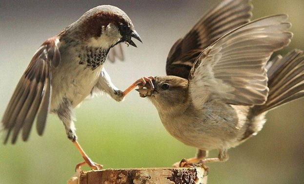 荒谬是什么意思?