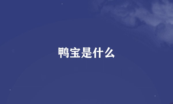 鸭宝是什么