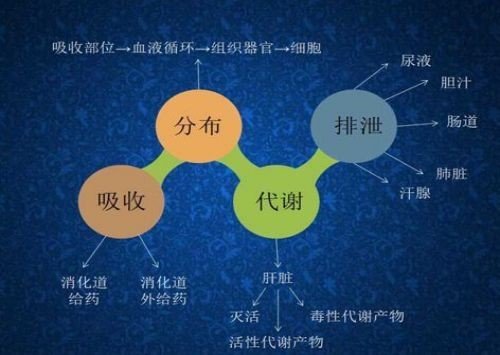 吸收的近义词是什么词