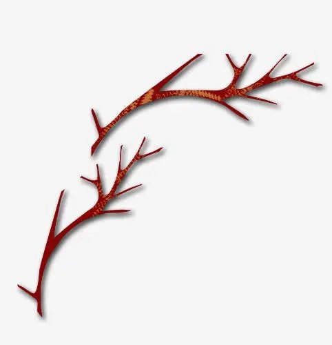 树杈的拼音怎么写