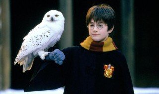 哈利波特结局是什么 哈利波特结局是怎样的