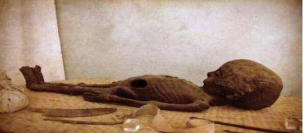 slender man是什么意思 外星生物是真实存在的吗