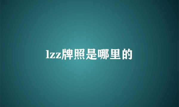 lzz牌照是哪里的