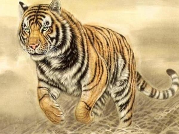 战肖是哪几个生肖