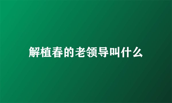 解植春的老领导叫什么