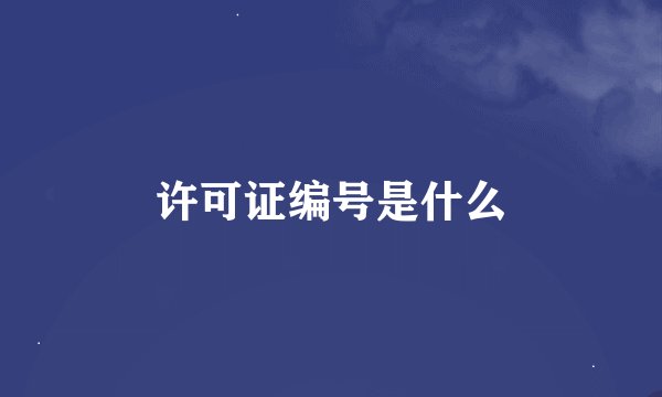 许可证编号是什么