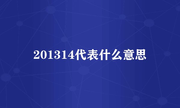 201314代表什么意思