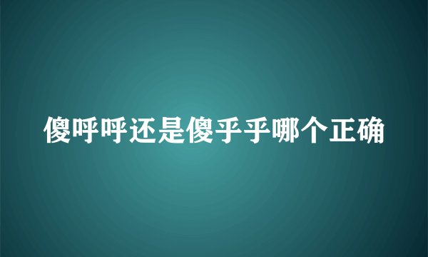 傻呼呼还是傻乎乎哪个正确