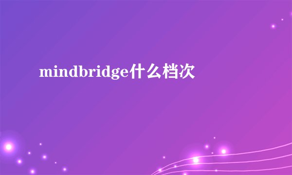 mindbridge什么档次
