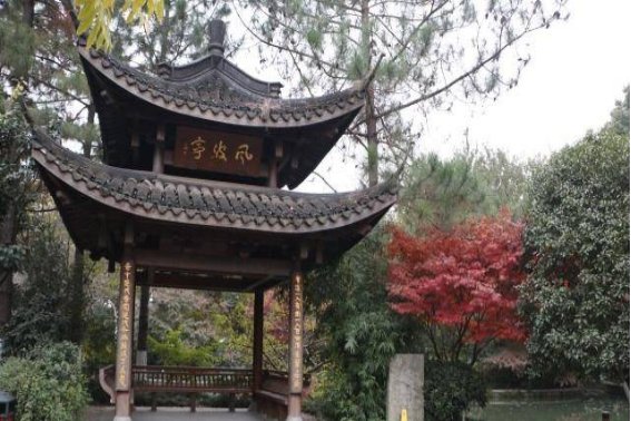 风波亭里满江红打一个生肖