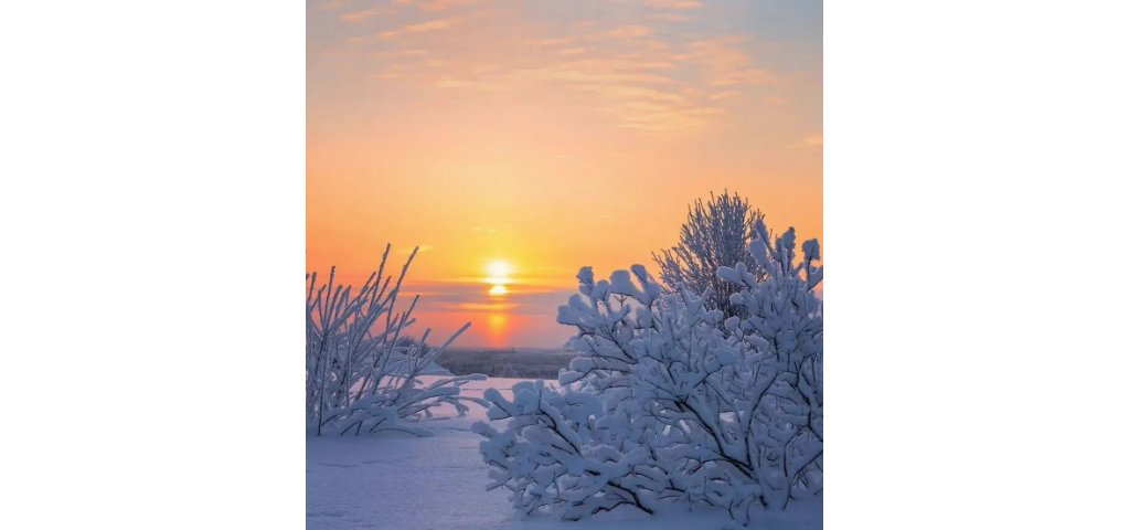 白头若是雪可替出自哪里?