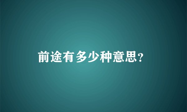 前途有多少种意思？