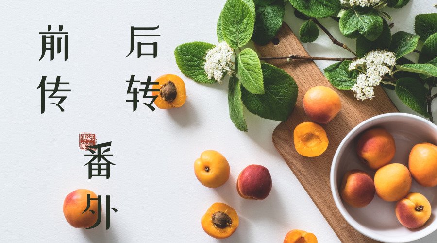 前传、后传、番外分别是什么意思？