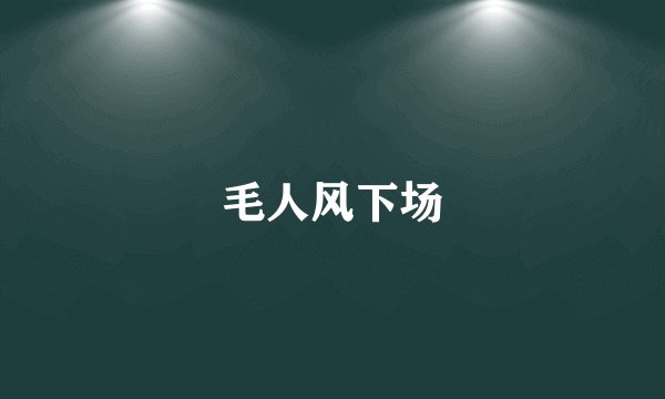 毛人风下场