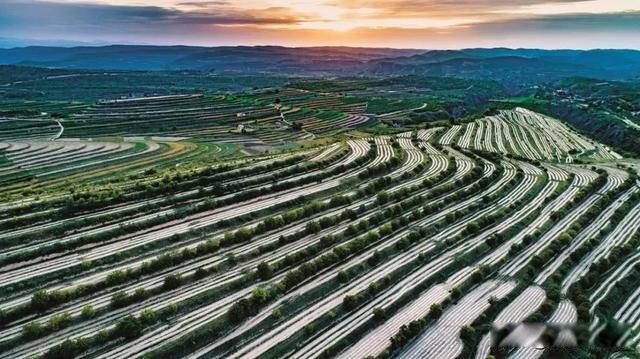 山海情吊庄啥意思 吊庄是现在的哪里