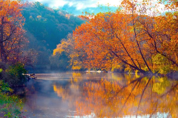 情景交融的句子摘抄