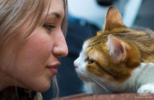 tenderness翻译中文