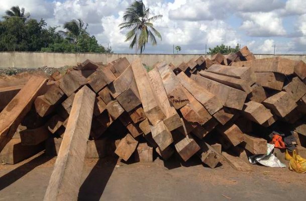 木破芝是什么意思