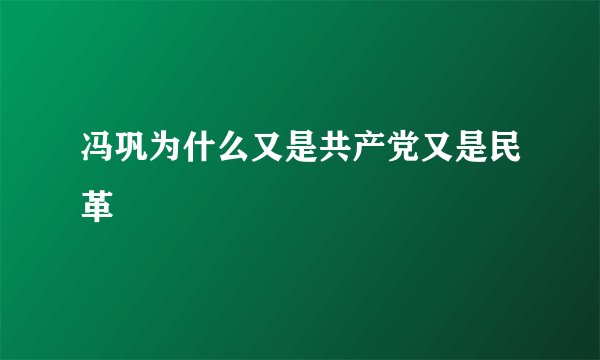 冯巩为什么又是共产党又是民革