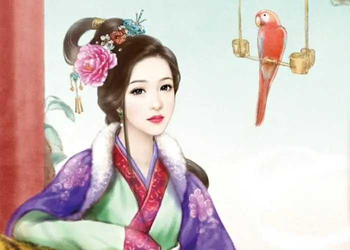 赵君尧夏如卿是什么小说