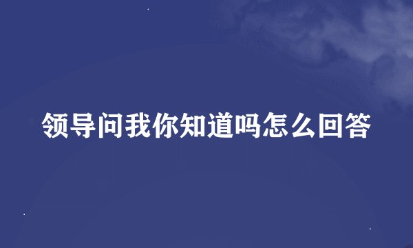 领导问我你知道吗怎么回答