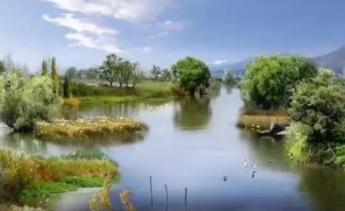 安徽临泉县的邮政编码是?