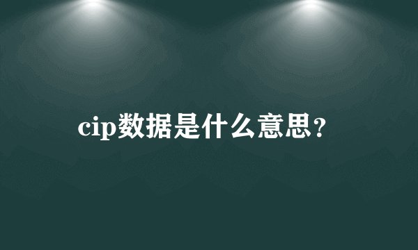 cip数据是什么意思？