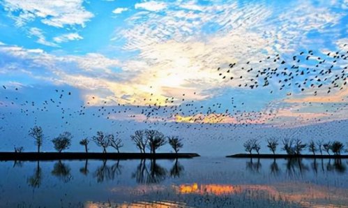 中国四大淡水湖分别是?